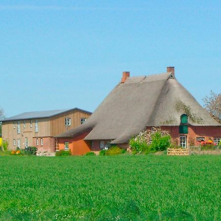 Apartmán "Hof Triangel - Whg 2" - Bauernhofurlaub Riepsdorf Exteriér fotografie